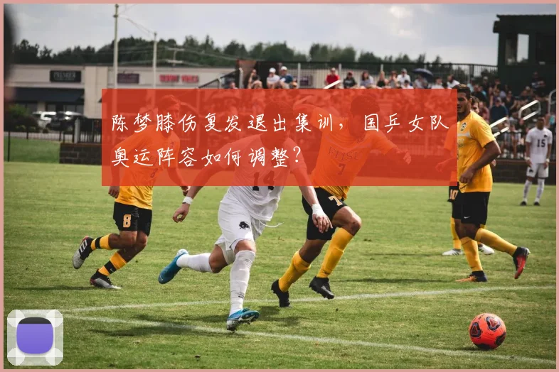 陈梦膝伤复发退出集训,国乒女队奥运阵容如何调整?